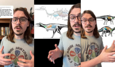 Guy Breaks Down Why Dinosaurs Were Able To Grow So Gigantic
