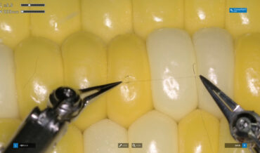 Sony Demonstrates Precision Of New Microsurgery Robot By Stitching Up A Single Corn Kernel
