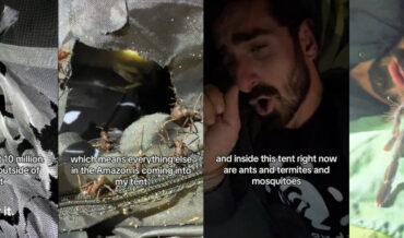 An Argument Not To Camp In The Amazon, Exhibit A