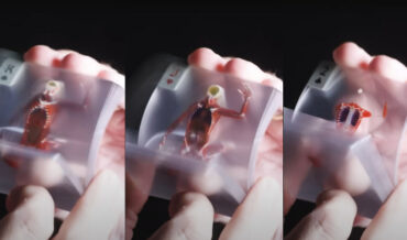 Human Body Slice Playing Cards