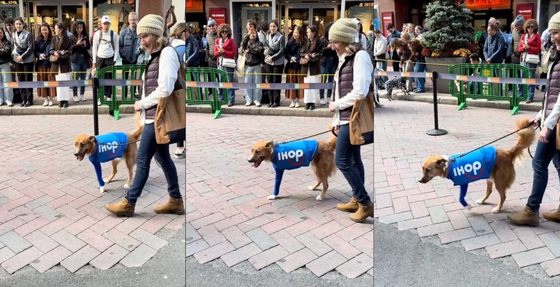 And This Year’s Halloween Costume Contest Winner Is…