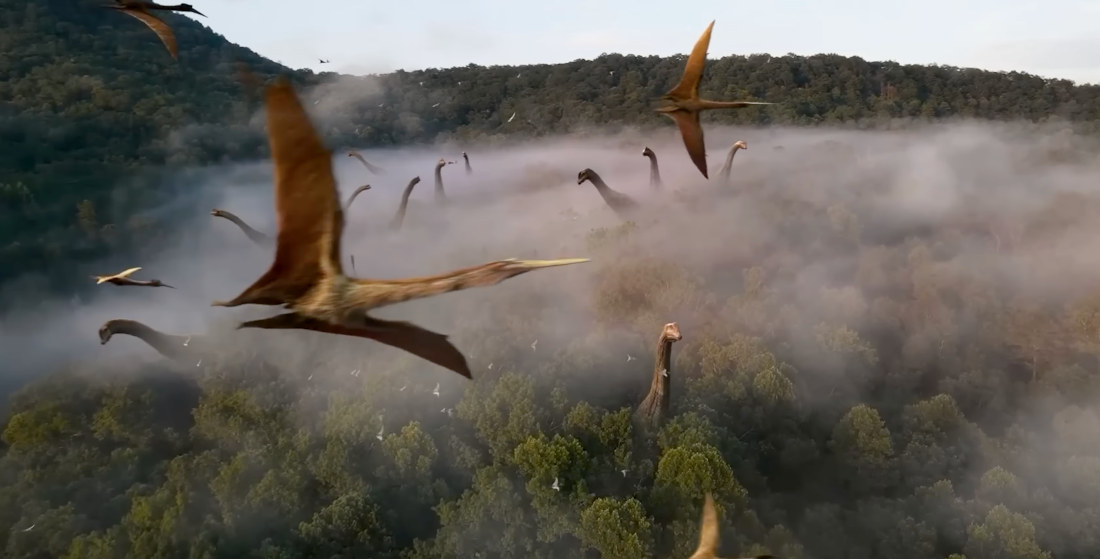 The History Of Life On Earth Condensed To 24 Hours