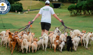 World Record For Most Dogs Walked Simultaneously By A Single Person (38!)