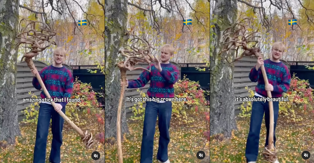 Man Finds The Best Stick Of All Time