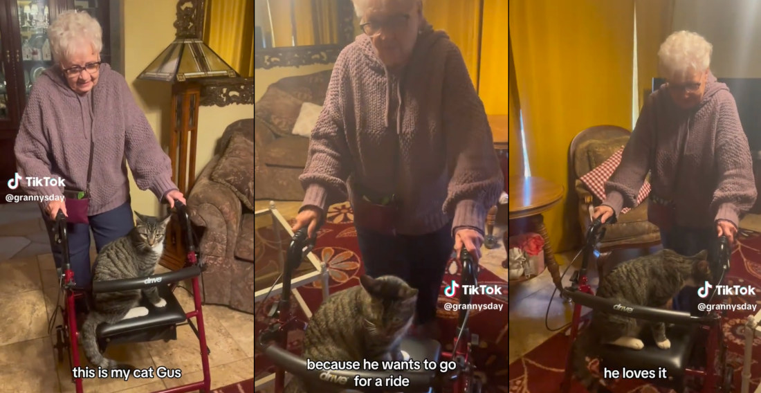 Cat Hitches A Ride On Elderly Owner’s Walker Whenever She’s Cruising