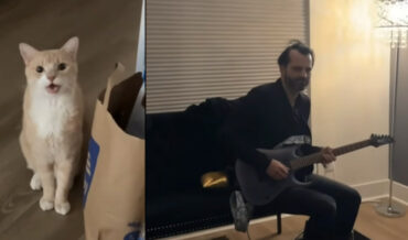 Guitarist Mimics His Cat’s Meows