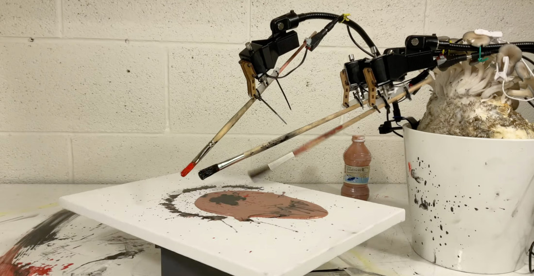 Mushrooms Paint A Picture Using Their Electrical Activity