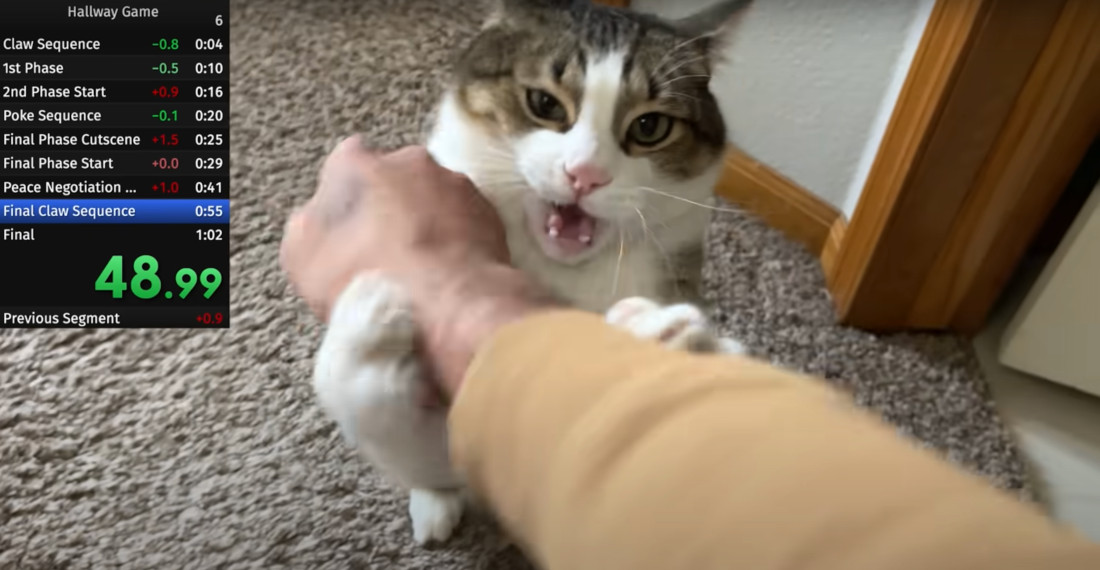 Speedrunning Cat In Hallway Boss Battle