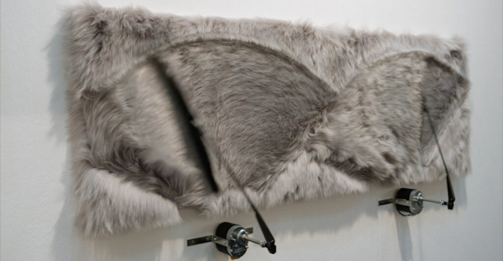 Fine Art: Windshield Wipers On Faux Fur