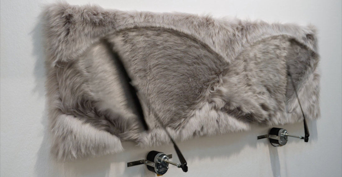Fine Art: Windshield Wipers On Faux Fur