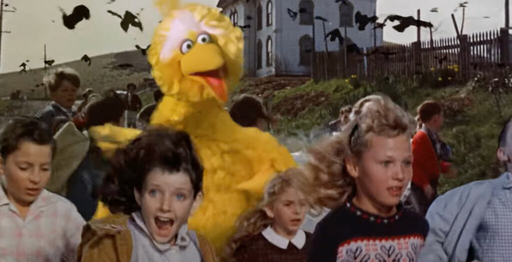 Sesame Street's Big Bird Edited Into Alfred Hitchcock's 'The Birds'