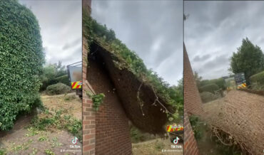 Removing An Entire Brick Wall Of Ivy In One Giant Sheet