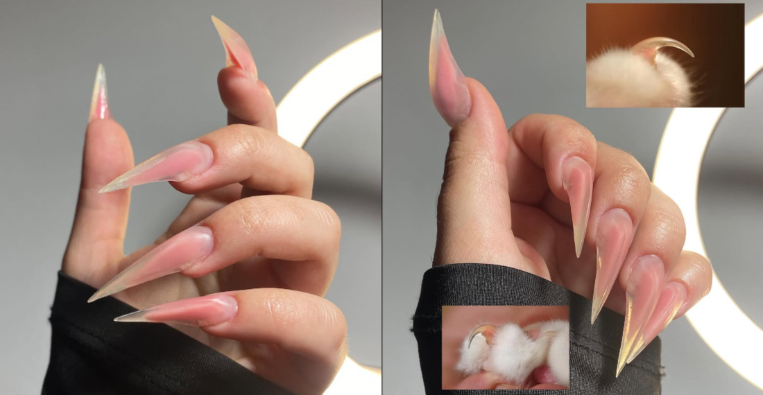 Oh Wow: Cat Claw Fingernails