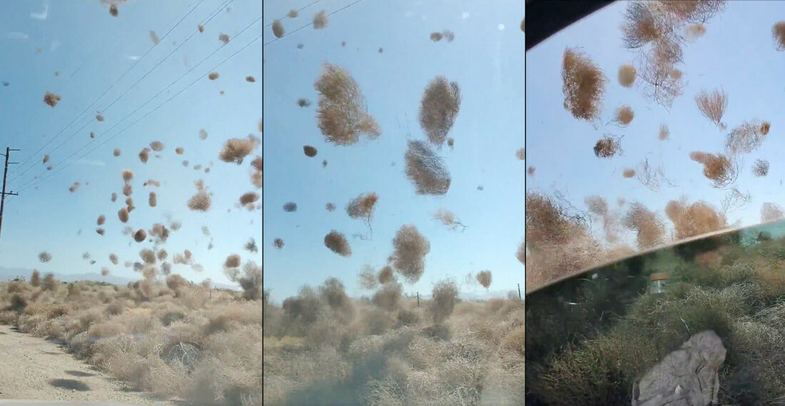 A Dust Devil Full Of Tumbleweeds
