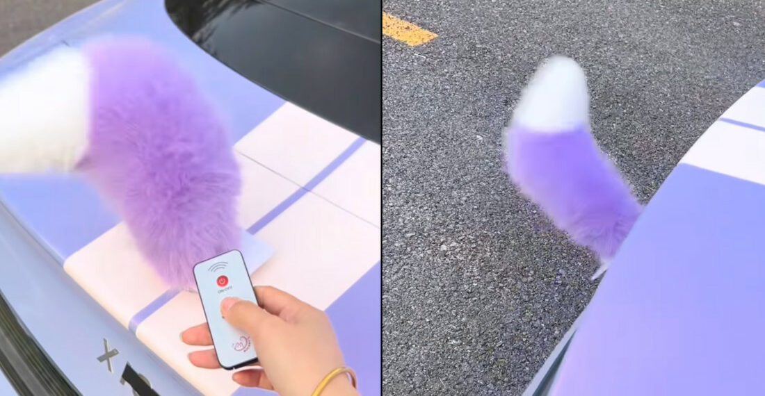 Finally, The Wagging Tail Accessory Your Car Has Been Missing