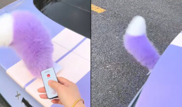 Finally, The Wagging Tail Accessory Your Car Has Been Missing
