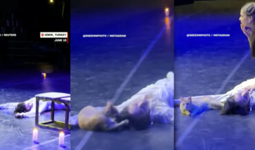 Stray Cat Crashes Romeo’s Death During Romeo And Juliet Ballet