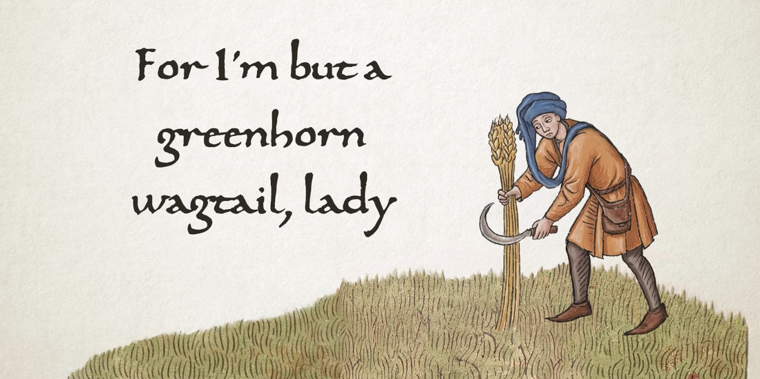 ‘Greenhorn Wagtail’, A Bardcore Cover Of Wheatus’s ‘Teenage Dirtbag’