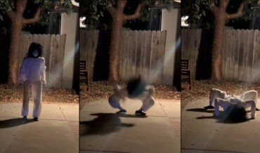 Terrifying Crawling Girl Halloween Decoration Made With Humanoid Robot