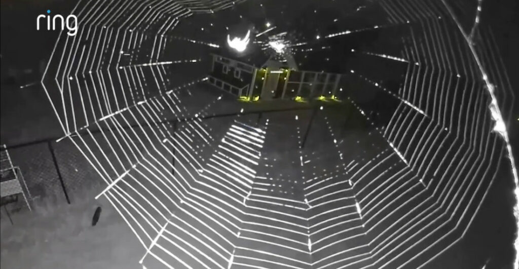 Watch A Spider Weave A Web In Front Of Ring Security Cam