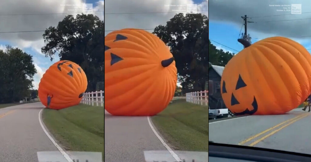 Giant 30-Foot Inflatable Pumpkin Blowing Down The Road