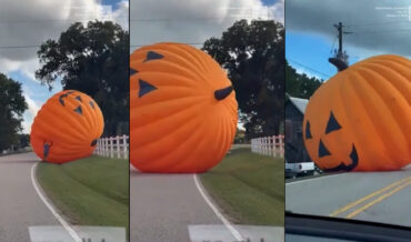 Giant 30-Foot Inflatable Pumpkin Blowing Down The Road