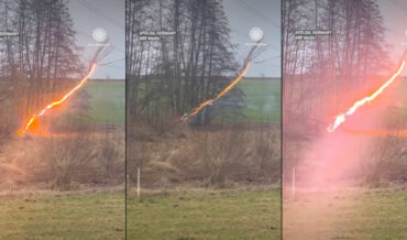 Fallen Tree Versus Power Line